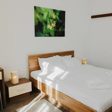 Casa Nicolae Luxury Suites-3